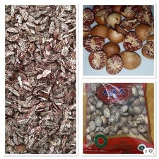 Nut-Supari Areca Catechu Betel