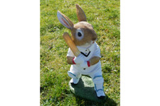 Garden Rabbit Cricket Garden Ornament Decoration Resin Figure Figurine Decor