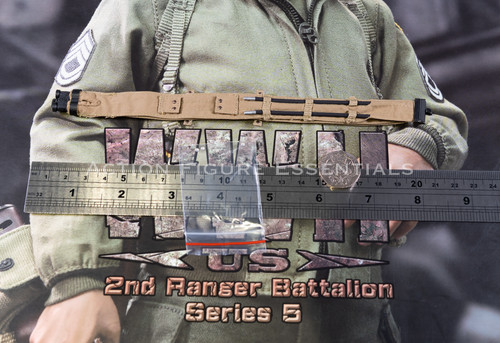 Did scale sgt - did,