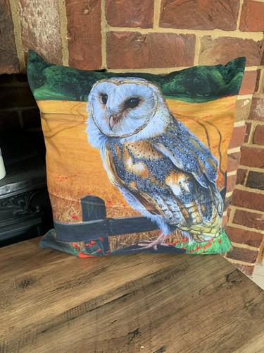 Square barn owl cushion - barn, /