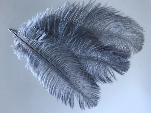 5pcs ostrich feathers - feathers, 26