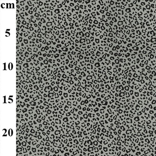 Animal leopard print cheetah - animal,