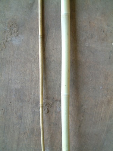 1metre bamboo poles - x,