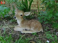 FALLOW DEER LAYING, Lovely