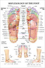 Reflexology of the Foot Wall
