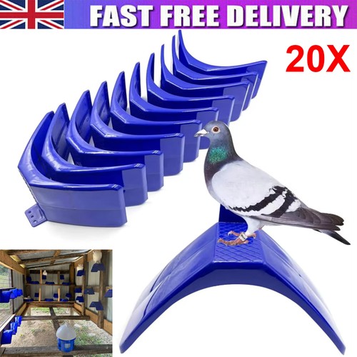 20pcs birds dove pigeon rest - birds,