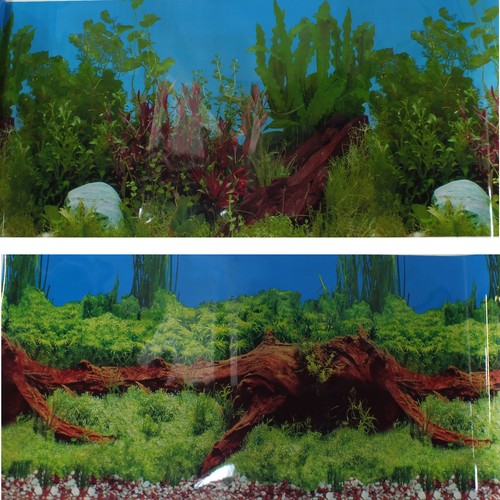 49cm aquarium fish tank - aquarium,