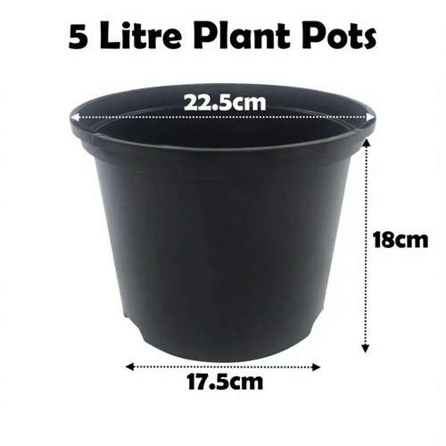 Litre black plant - litre, pots