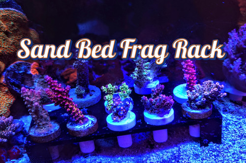 Coral frag rack - sand, bed