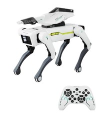 Intelligent Machine Dog Voice