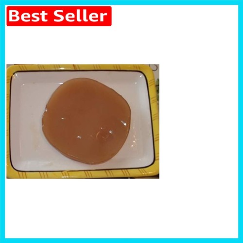 Organic kombucha scoby - organic,