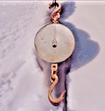 Industrial Butchers Scales