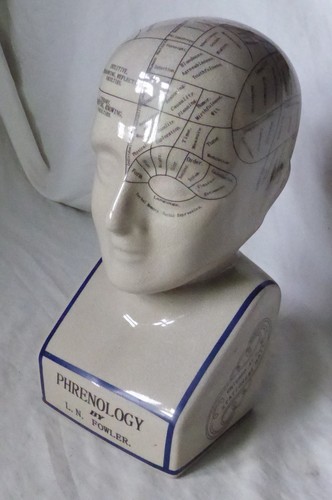 Ceramic phrenology bust - ceramic,