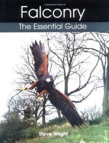 Falconry the essential - the,