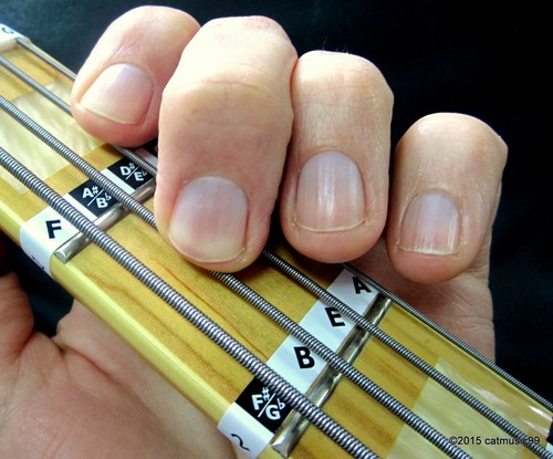 Bass guitar fretboard - guitar, note
