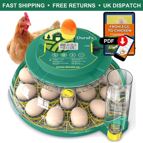 High performance egg incubator - high,
