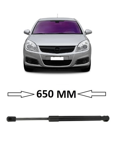 Bonnet gas strut for - gas,