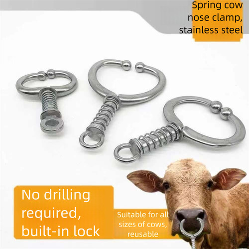 Livestock cattle nose - nose, rings