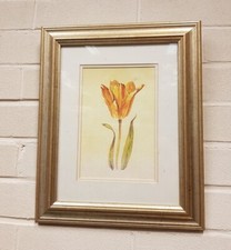 Golden Tulip Adelene Fletcher Art Marketing Ltd England 