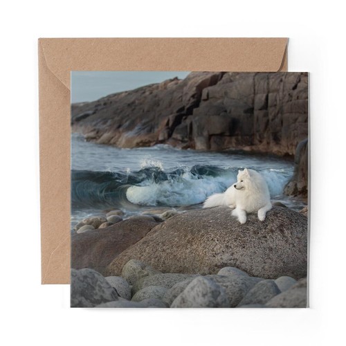 Blank greeting card - greeting,
