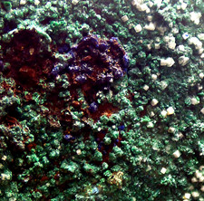 Malachite Azurite Crystals