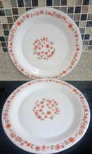 Vintage - Scania  Arcopal