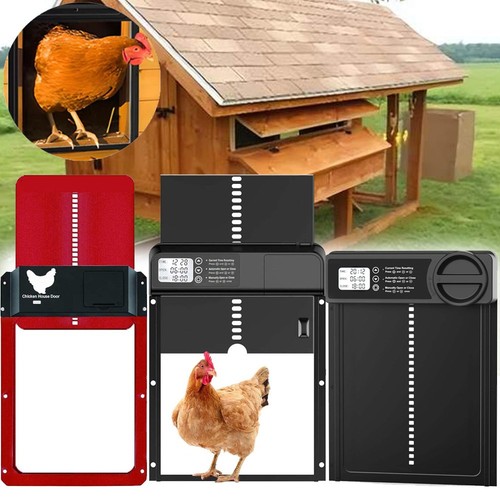 Solar automatic chicken - solar,