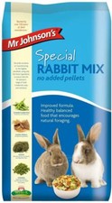 Mr Johnson's Special Rabbit