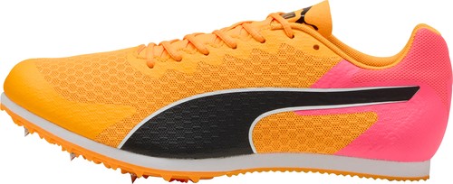 Puma evospeed star running - puma,