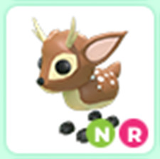N Fallow Deer - Adopt right