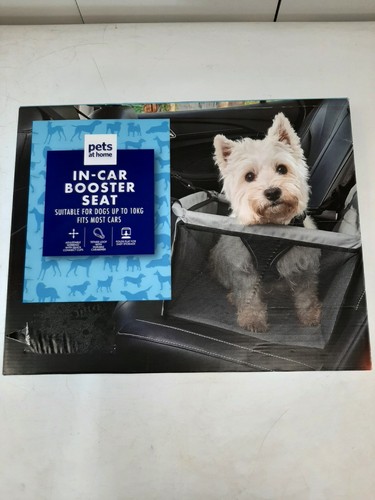 Pets home car dog - in,