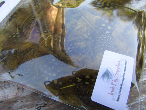 Ifs guinea fowl dyed - fowl,