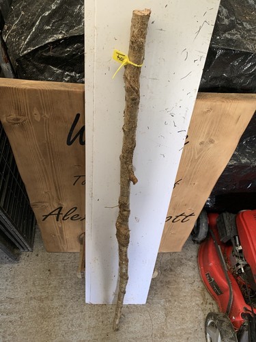 Seasoned birch twisty twistie - seasoned,