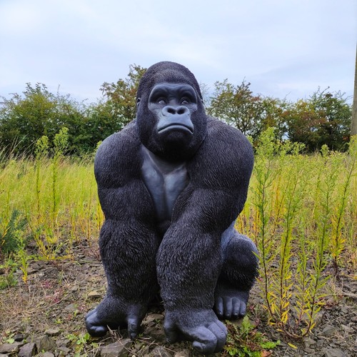 Giant gorilla vivid - *giant, gorilla*