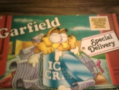 Garfield special delivery - garfield-special,