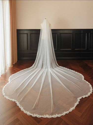 Sequins lace 1 - lace,