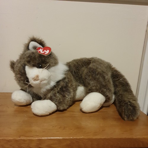 Classic malley cat with - classic,