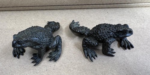 Pair bronze toads - toads, signed