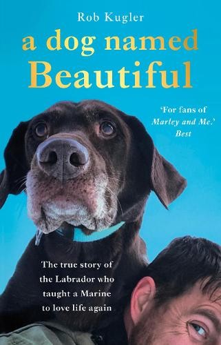 Dog named beautiful the - dog,