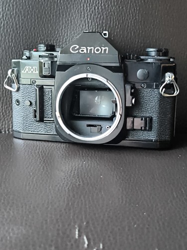 Canon 35mm slr film - canon,