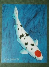 TANCHO   KOI CARP