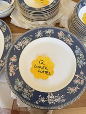 Amazing Wedgewood Blue Siam