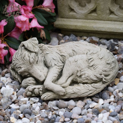 Collie dog puppy stone statue - puppy,