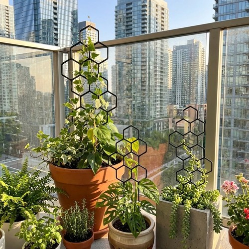 Pack honeycomb plant trellis - 2-pack,