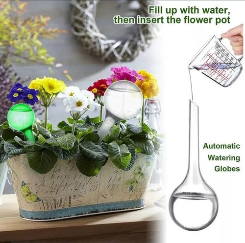 Plant self watering bulb - 4x,