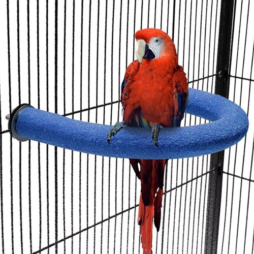 Parrot perch bird shape - parrot,