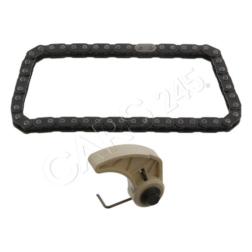Swag oil pump - pump, chain