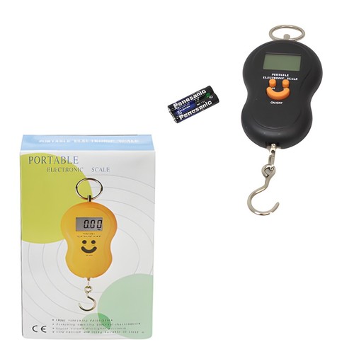 Portable electronic luggage - electronic,
