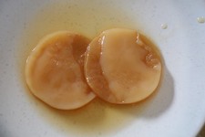 Two Organic Kombucha Scobys