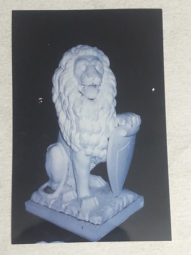 1980s elvis presley lion - 1980s,
